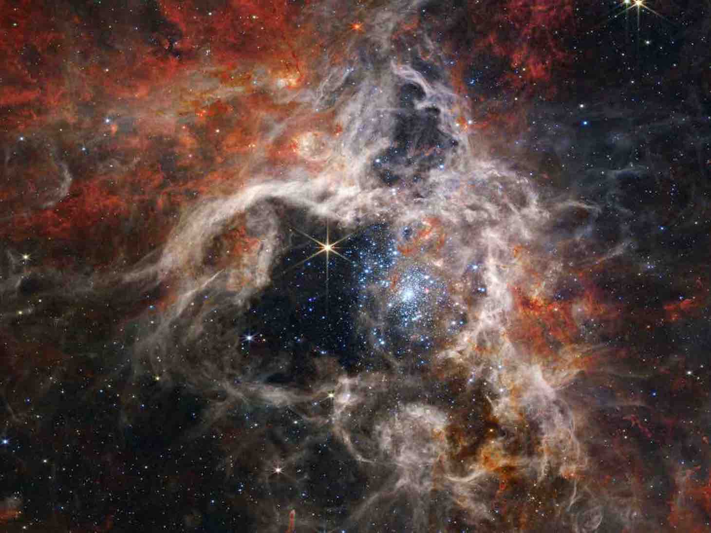 Tarantula Nebula (JWST/NIRCAM image). © NASA, ESA, CSA, STScI, Webb ERO Production Team