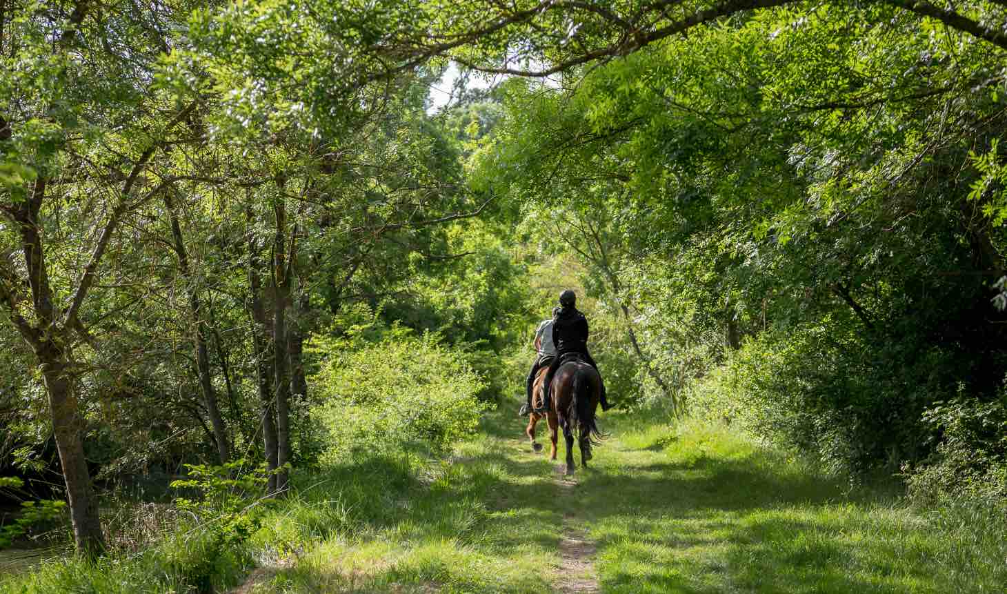 Ballade à cheval